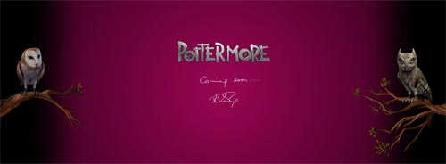Pottermore'un akıbeti belli oluyor