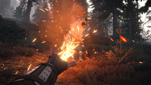 The Witcher 3: Wild Hunt, FPS olsaydı nasıl olurdu?