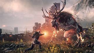 The Witcher 3: Wild Hunt, zengin bir paketle geliyor!
