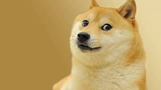 Just Cause 3'te "Doge" modu bulundu