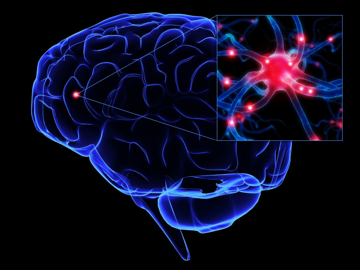 Bilim insanları beyin nöronlarının genlerini değiştirmeyi başardılar!
