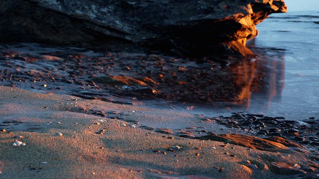 Unreal Engine 4'ten ağızları açık bırakan yeni bir video geldi!