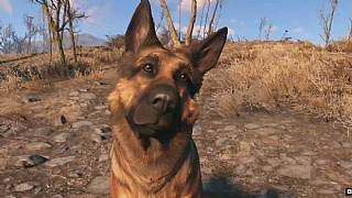 Fallout 4'ten yeni ekran görüntüleri geldi!
