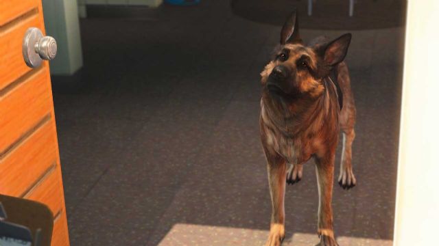 Fallout 4'ü köpek olarak oynamak ister miydiniz?