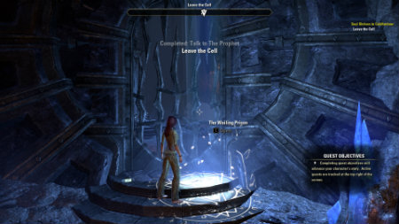 The Elder Scrolls Online