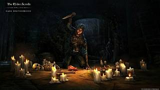 Elder Scrolls Online'a karanlık kardeşlik geldi