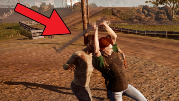 State of Decay'in içini cinsel organlarla doldurmuşlar