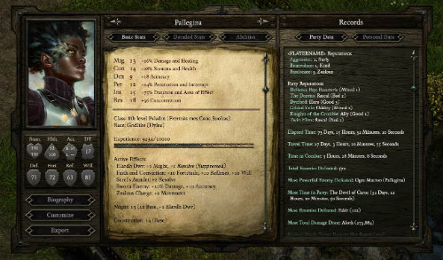 Pillars of Eternity'den yeni güncelleme geldi!