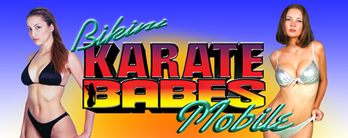 Bikini Karate Babes geri dönüyor!