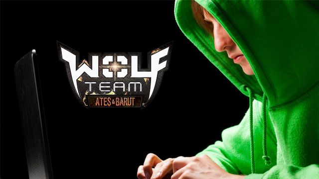Wolfteam hilecisine hapis cezası şoku