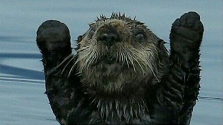 Bir video oyun efsanesi olan DayZ'nin beta süreci 5 yıl sonra başladı