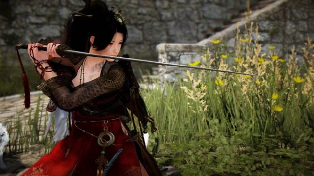 Black Desert'a iki yeni sınıf ekleniyor