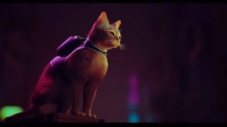 Kedi olarak oynamak mı? Stray PlayStation 5 için geliyor