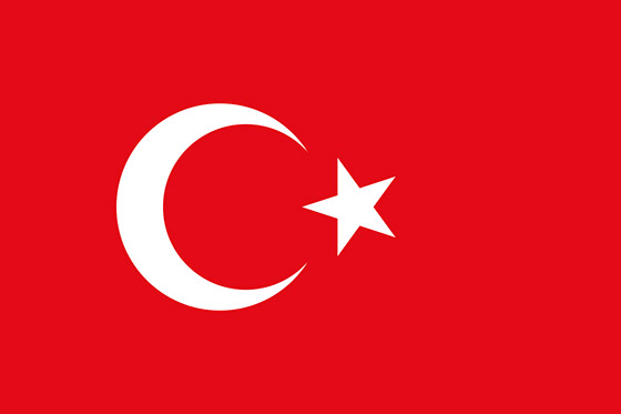 Türk oyun dünyası birleşiyor