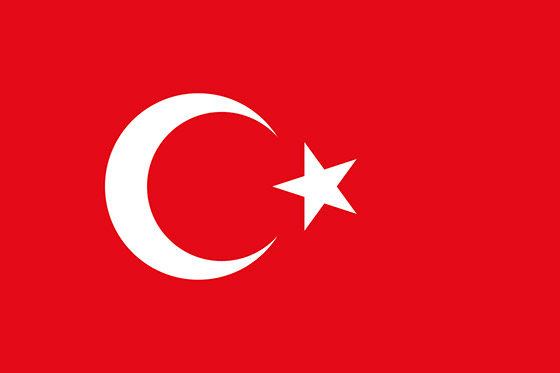Türk oyun dünyası birleşiyor