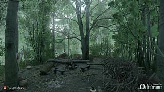 Kingdom Come: Deliverance'da grafikler coşacak!