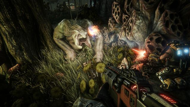 Evolve resmen satışa sunuldu
